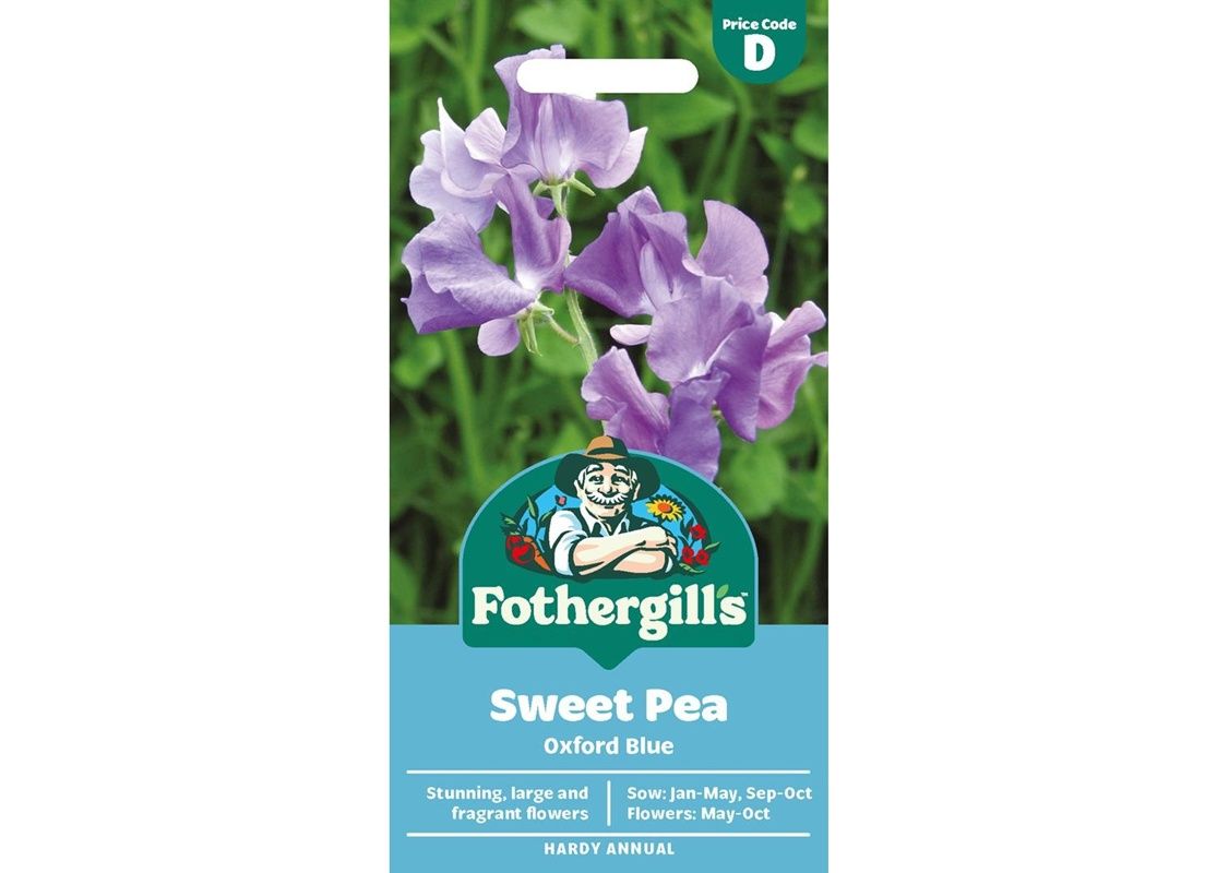 SWEET PEA Oxford Blue SWEET PEA Oxford Blue