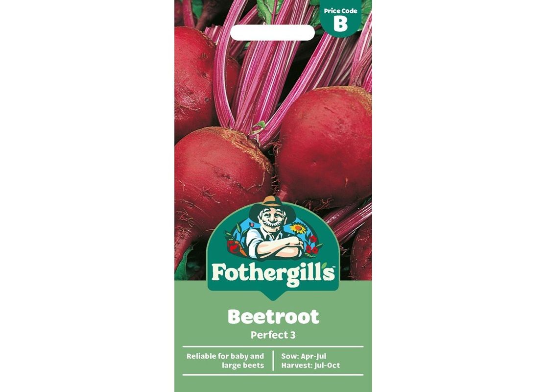 BEETROOT Perfect 3 BEETROOT Perfect 3