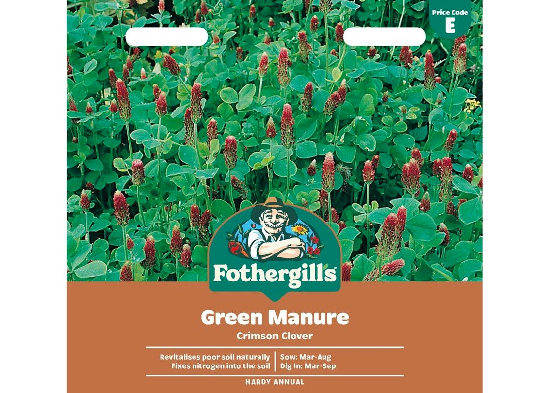 GREEN MANURE Crimson Clover