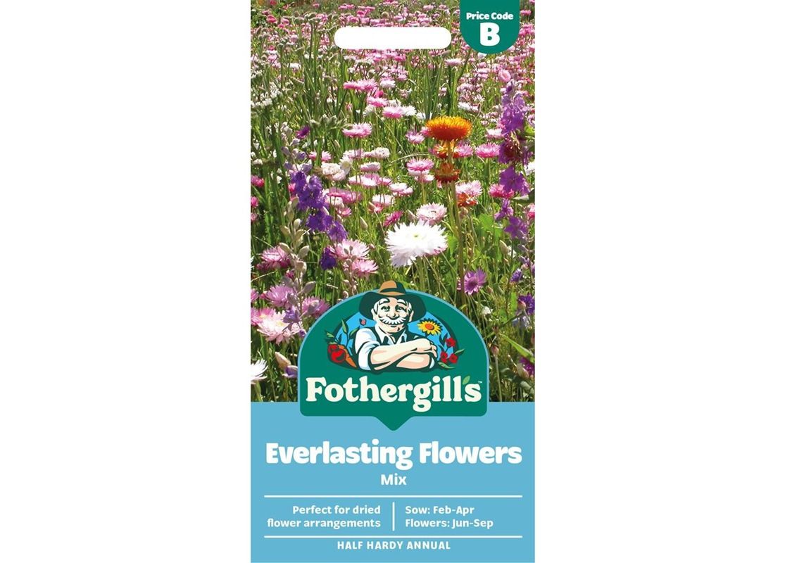 EVERLASTING FLOWERS Mix EVERLASTING FLOWERS Mix