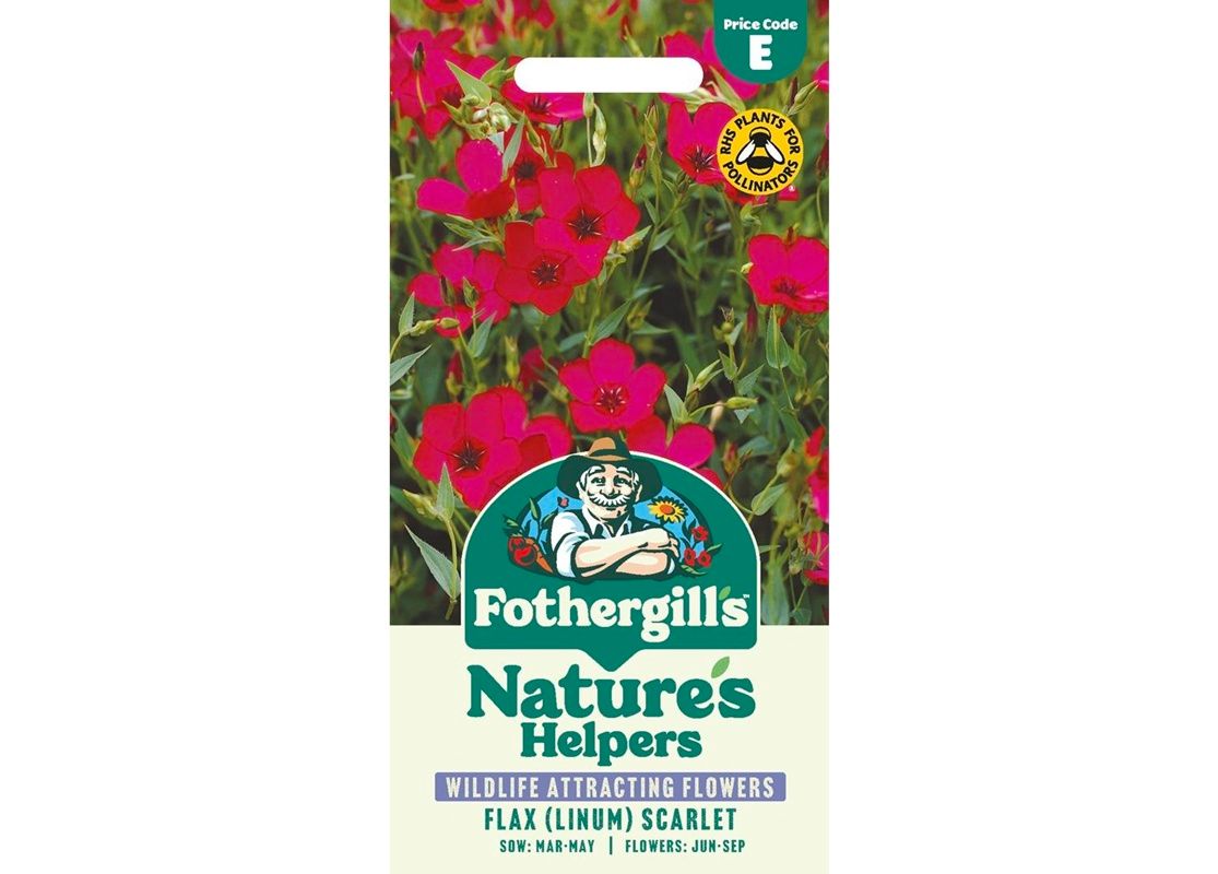 FLAX (Linum) Scarlet