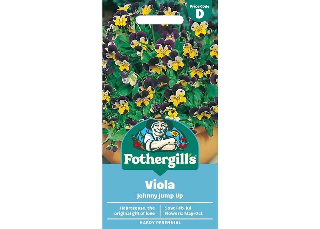 VIOLA Johnny Jump Up VIOLA Johnny Jump Up