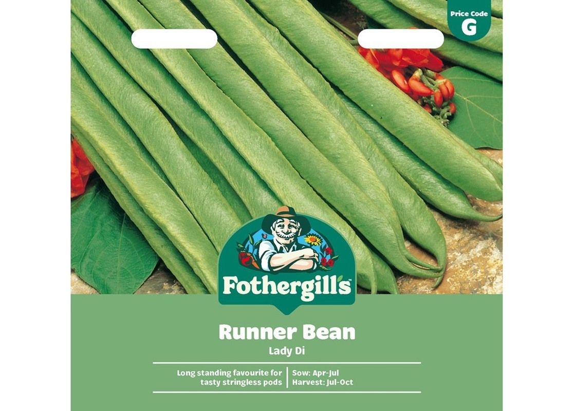 RUNNER BEAN Lady Di