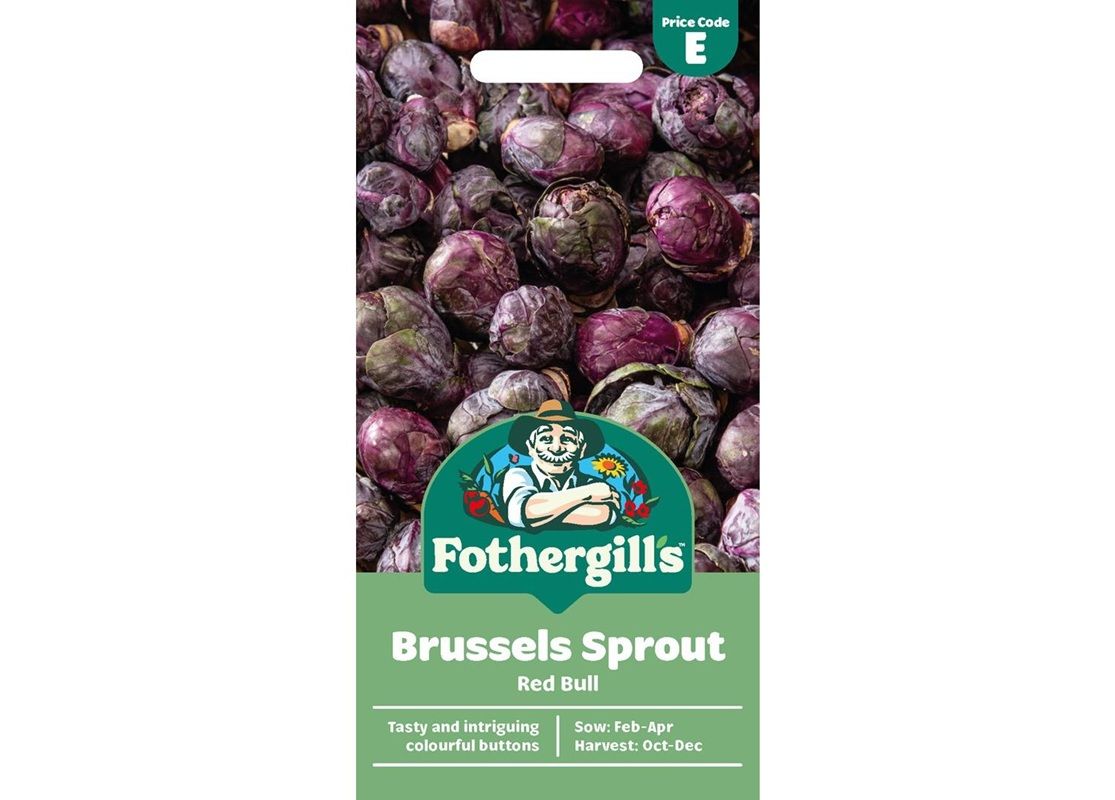 BRUSSELS SPROUT Red Bull