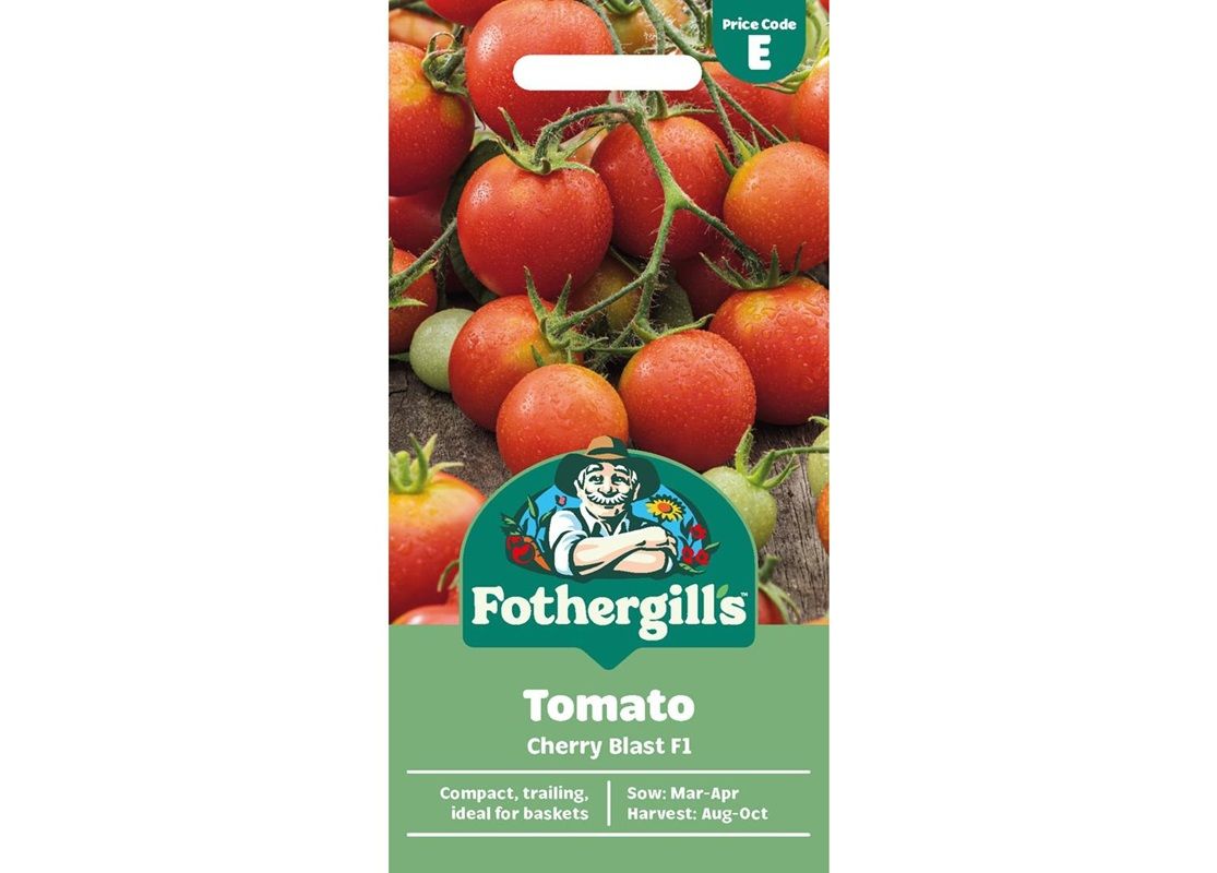 TOMATO Cherry Blast F1