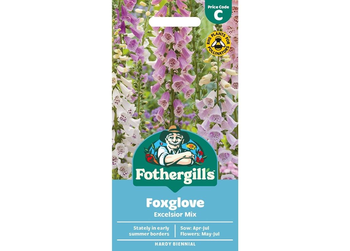 FOXGLOVE Excelsior Mix FOXGLOVE Excelsior Mix