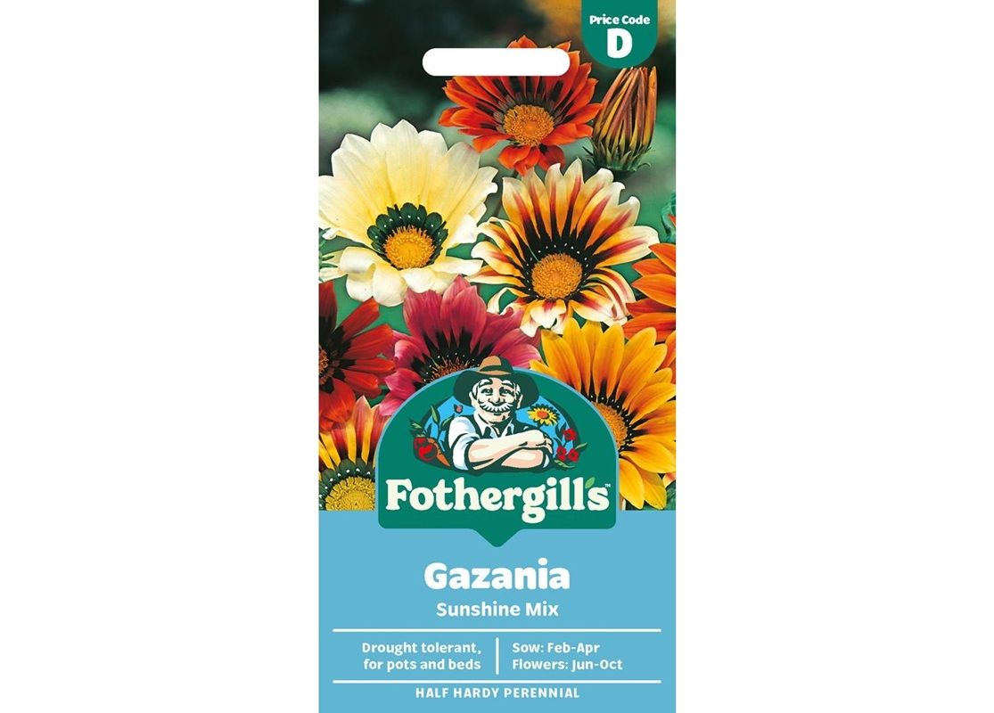 GAZANIA Sunshine Mix