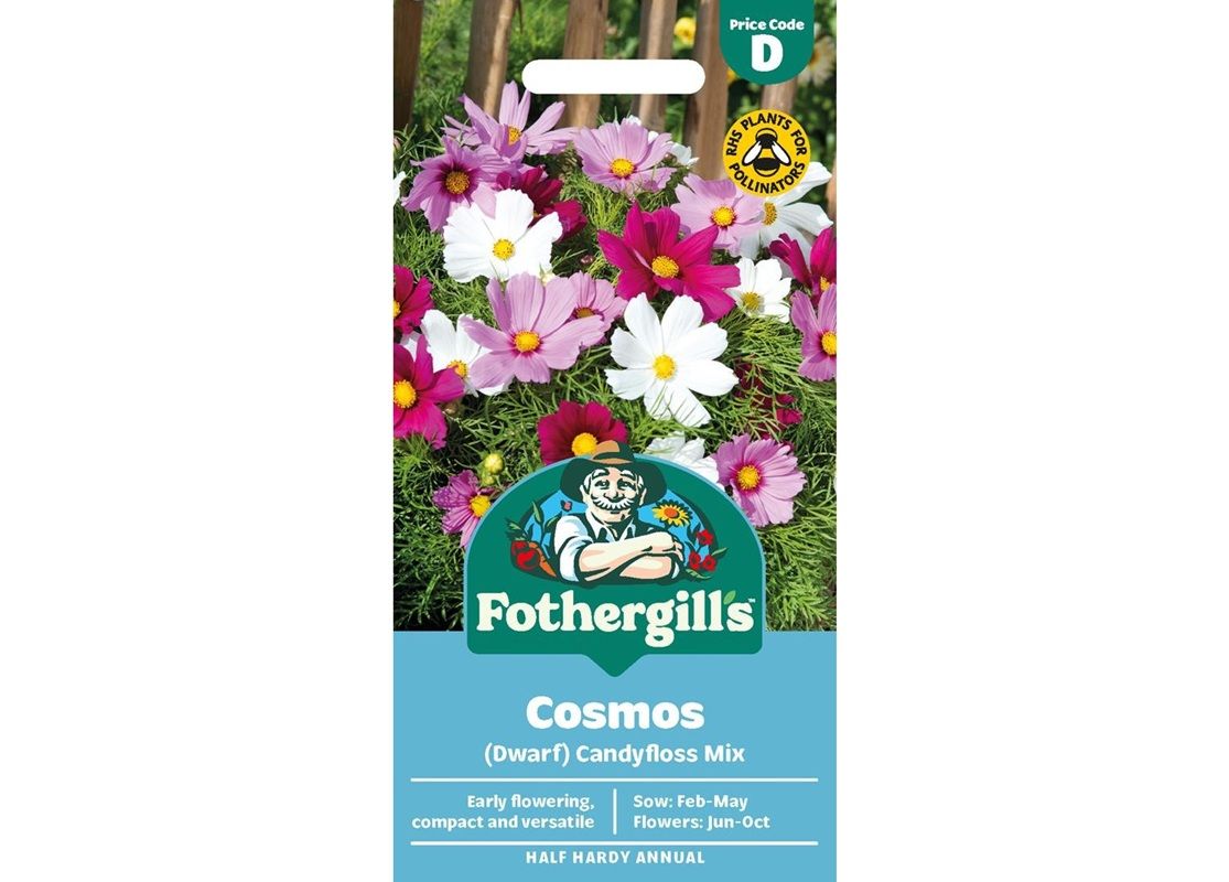 COSMOS (Dwarf) Candyfloss Mix