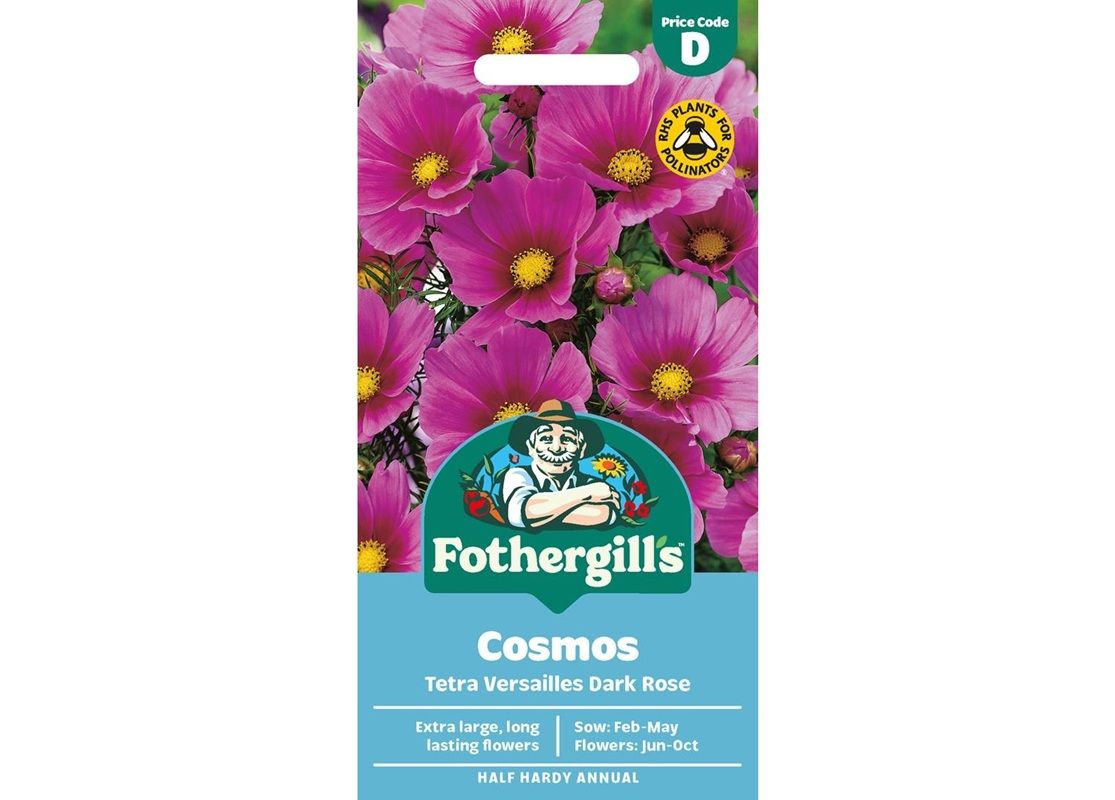 COSMOS Tetra Versailles Dark Rose