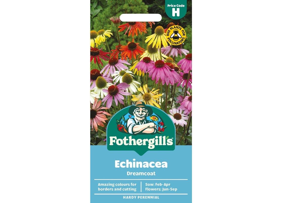 ECHINACEA Dreamcoat ECHINACEA Dreamcoat