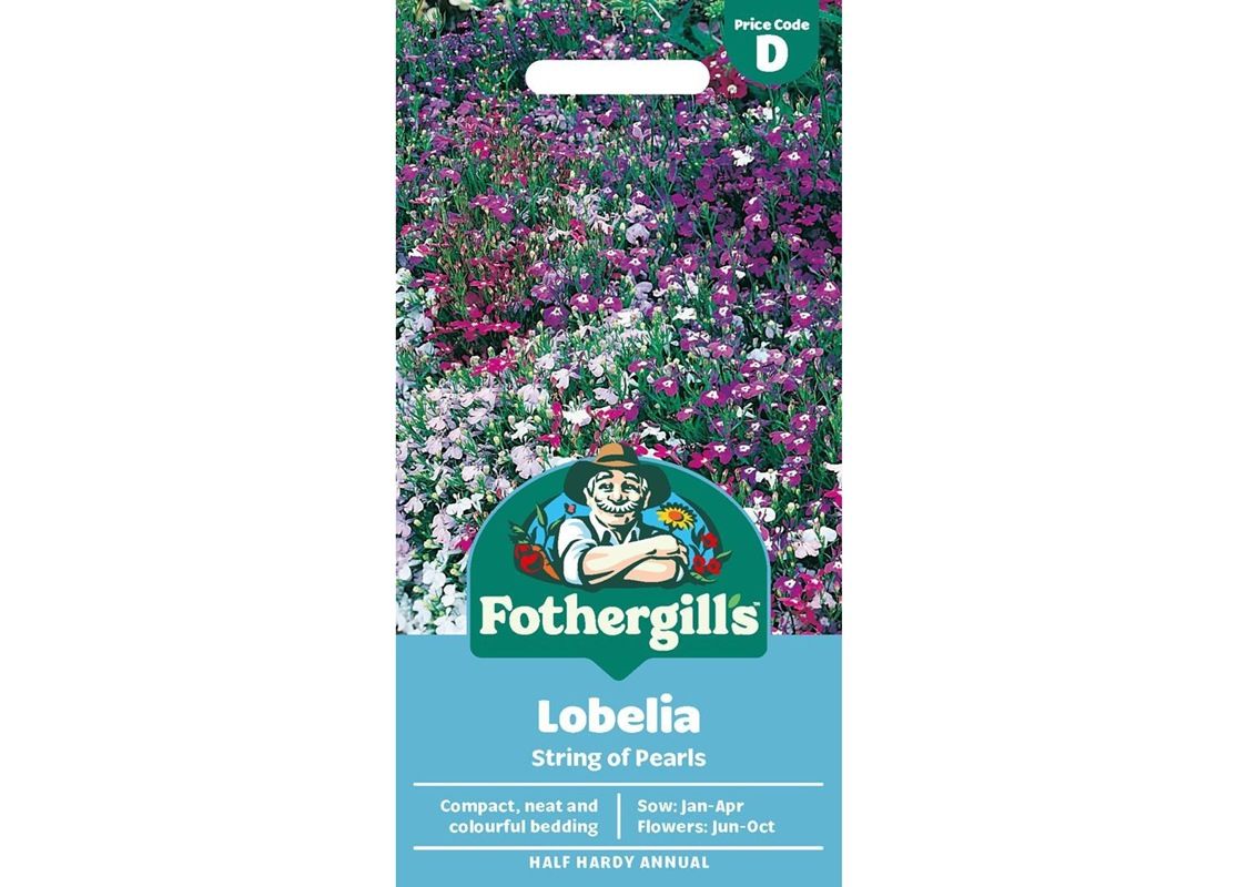 LOBELIA String of Pearls