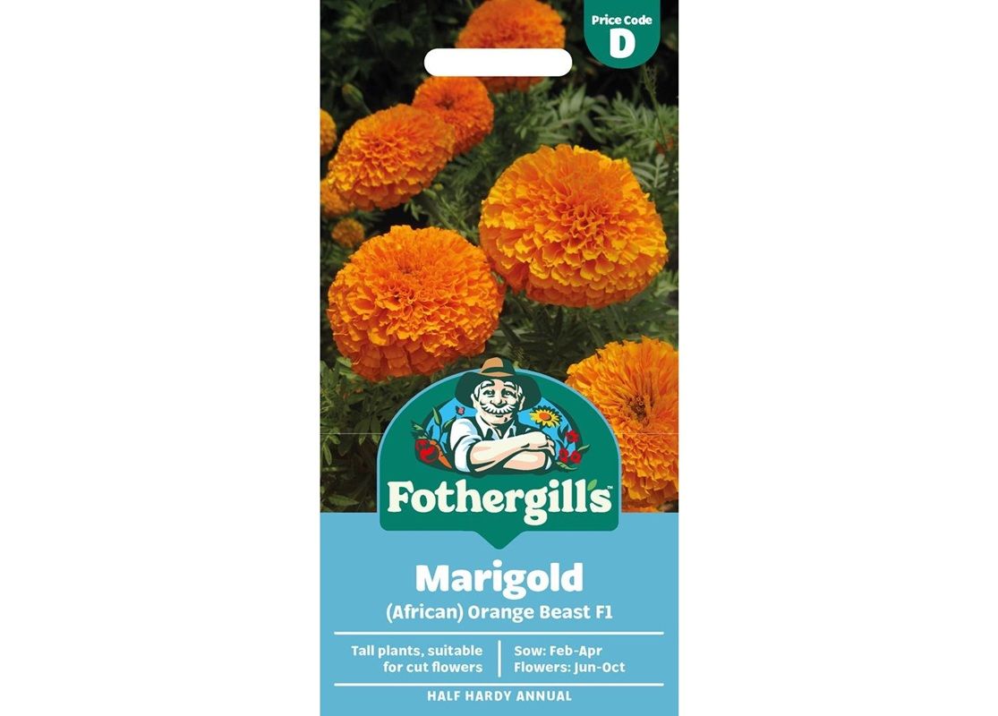 MARIGOLD (African) Orange Beast F1 MARIGOLD (African) Orange Beast F1