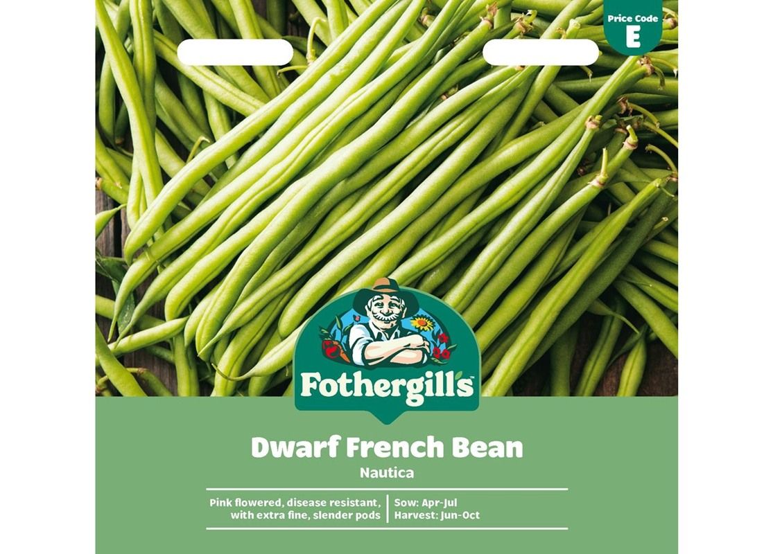 DWARF FRENCH BEAN Nautica