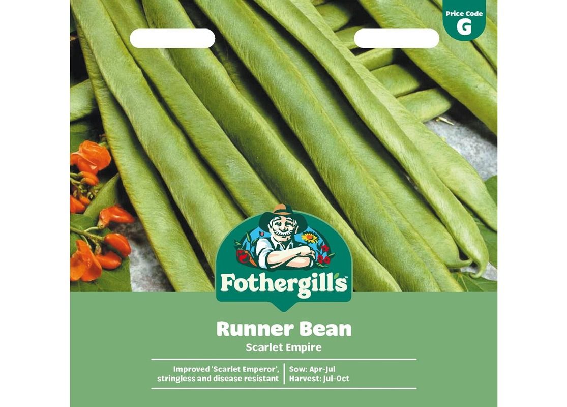 RUNNER BEAN Scarlet Empire