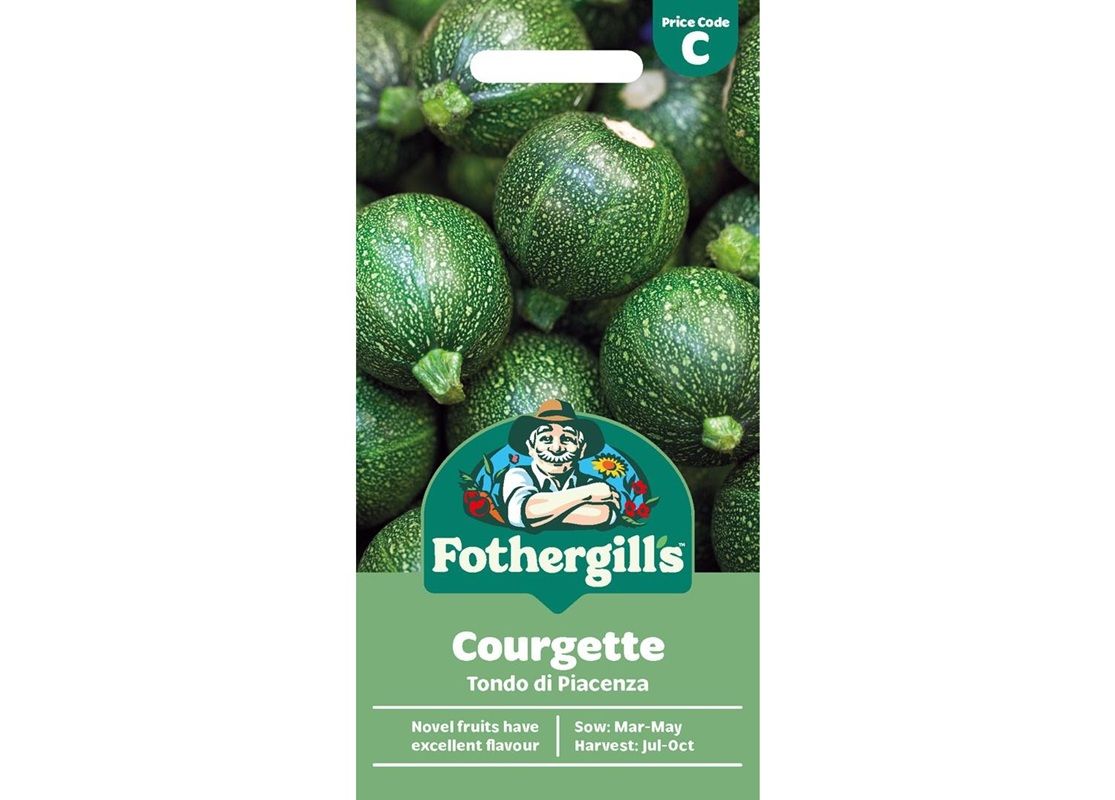 COURGETTE Tondo di Piacenza COURGETTE Tondo di Piacenza