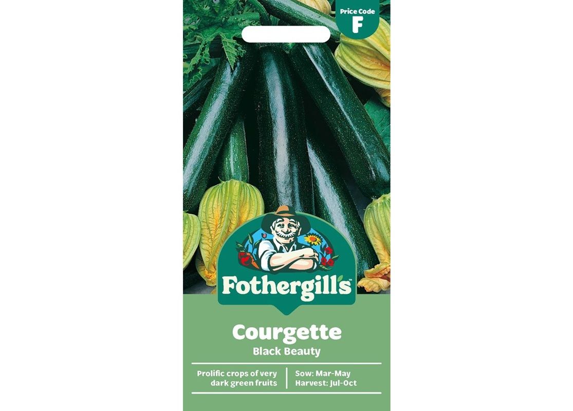 COURGETTE Black Beauty