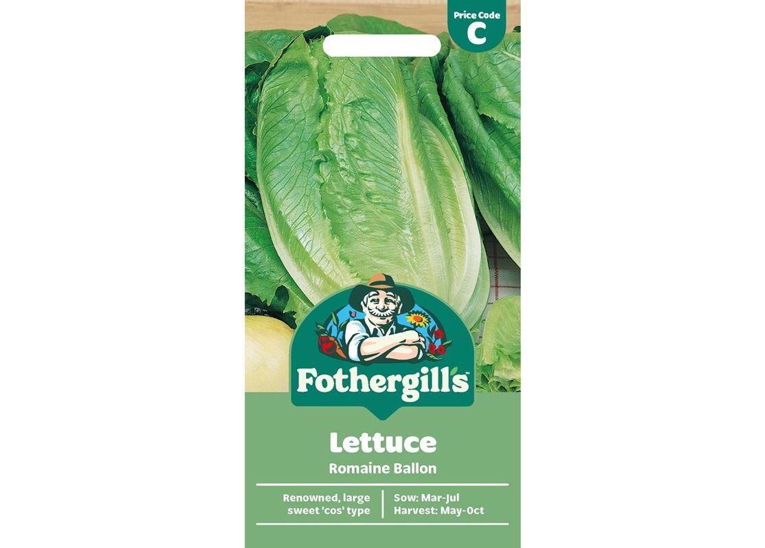 LETTUCE Romaine Ballon