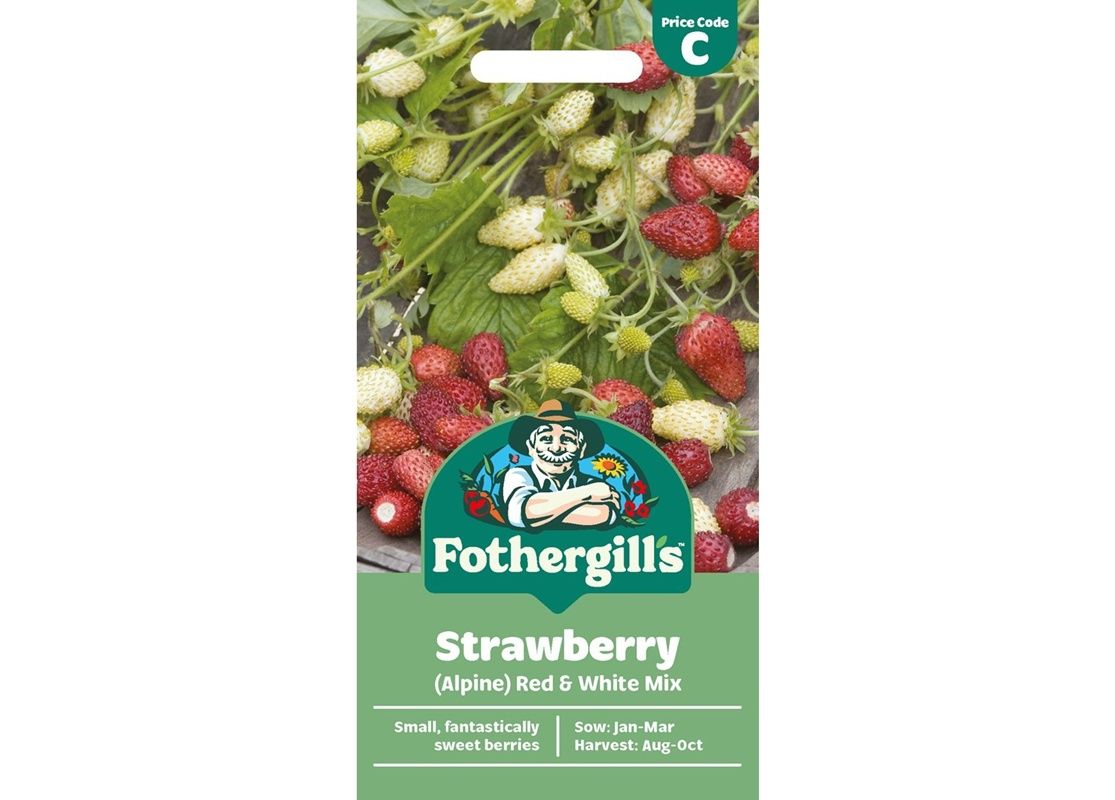 STRAWBERRY (Alpine) Red & White Mix STRAWBERRY (Alpine) Red & White Mix