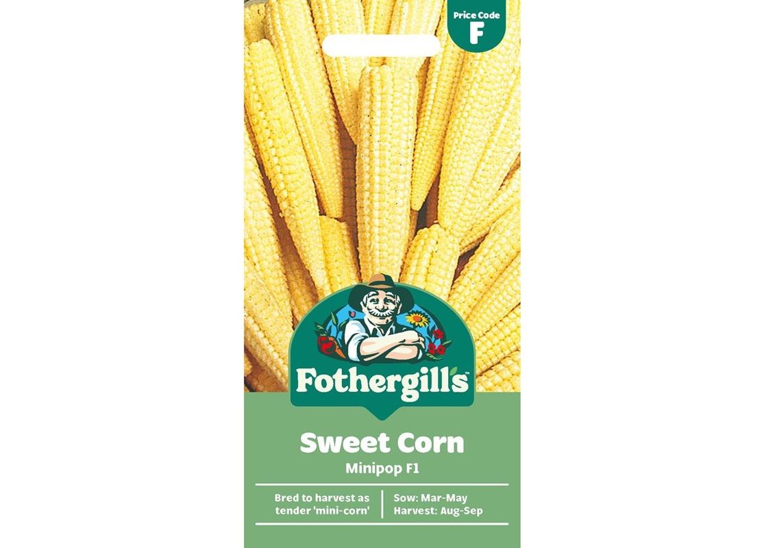 SWEET CORN Minipop F1