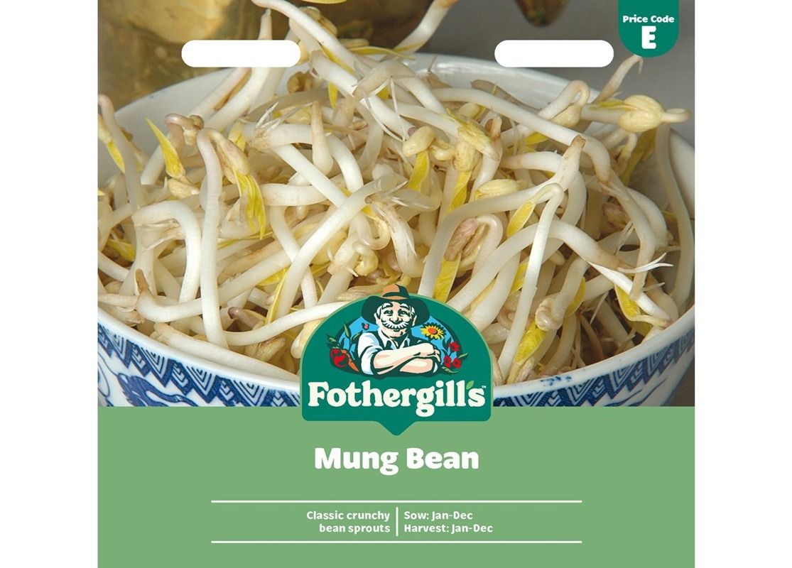 MUNG BEAN MUNG BEAN