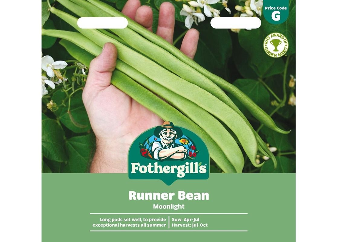 RUNNER BEAN Moonlight