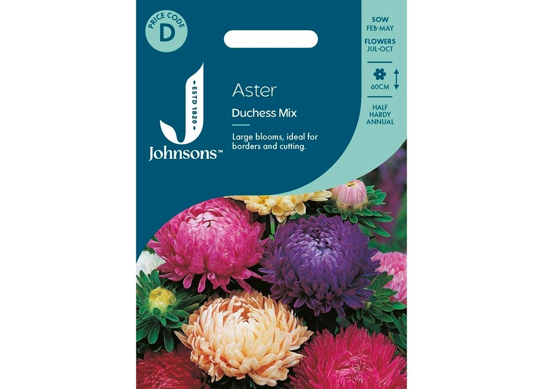ASTER Duchess Mix