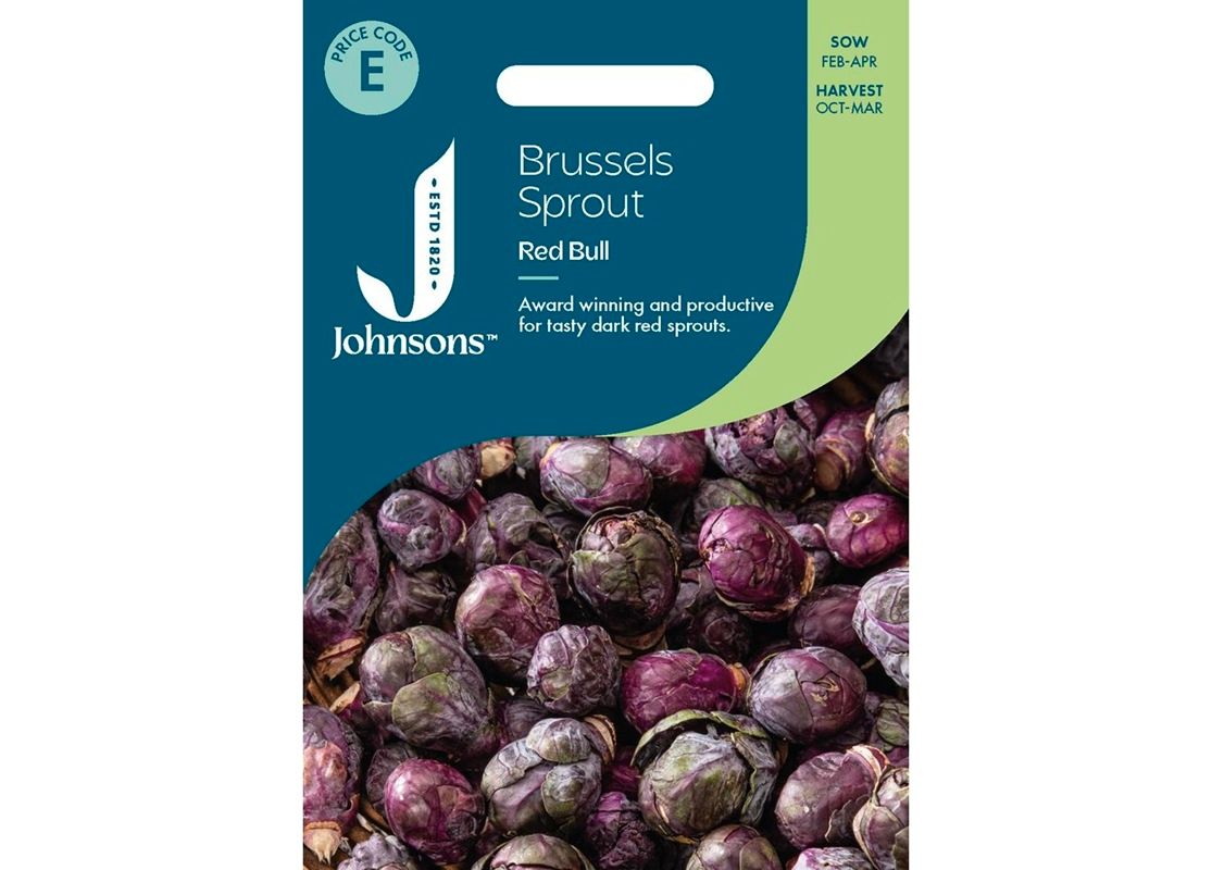 BRUSSELS SPROUT Red Bull
