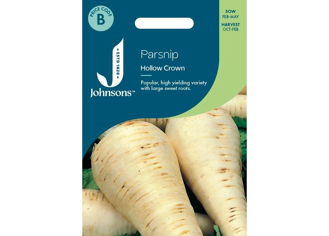 PARSNIP Hollow Crown PARSNIP Hollow Crown