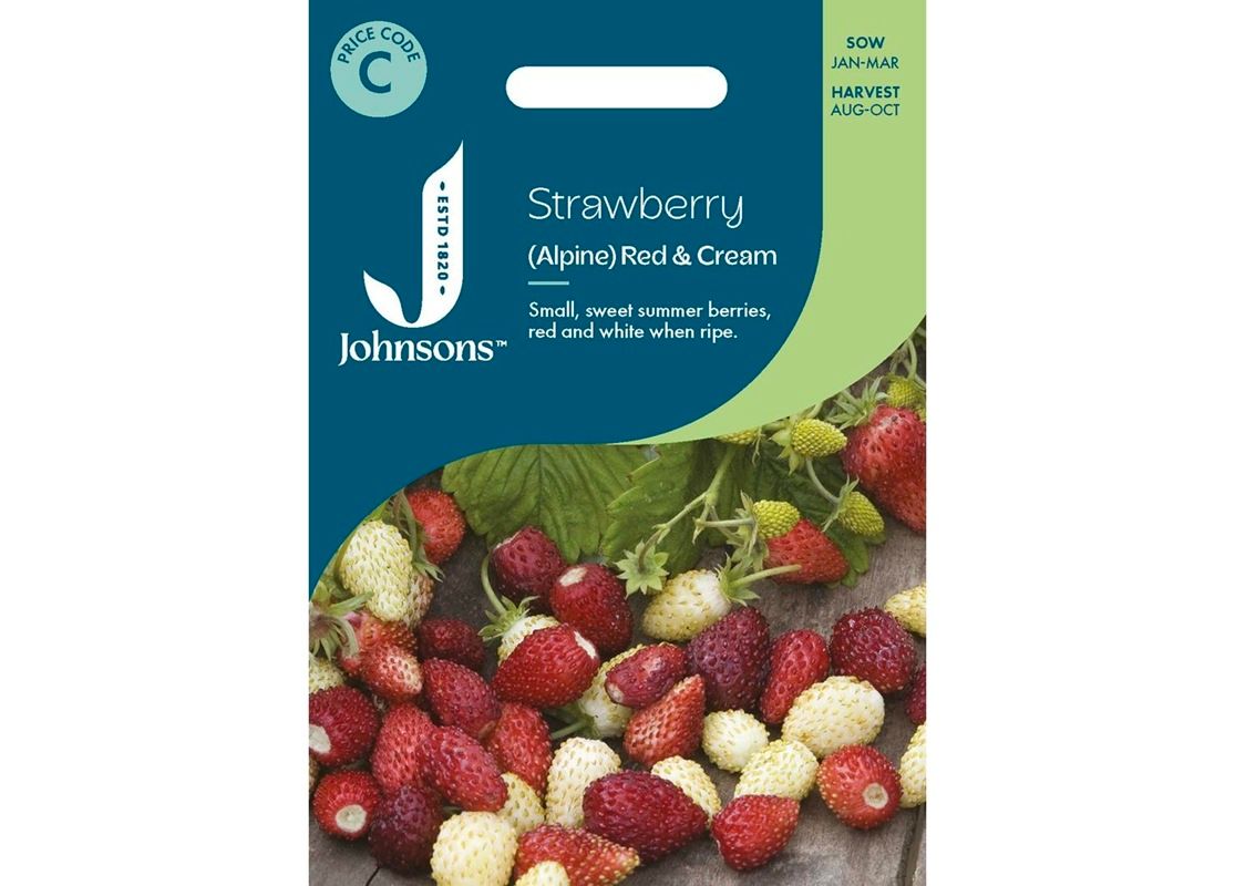 STRAWBERRY (Alpine) Red & Cream STRAWBERRY (Alpine) Red & Cream