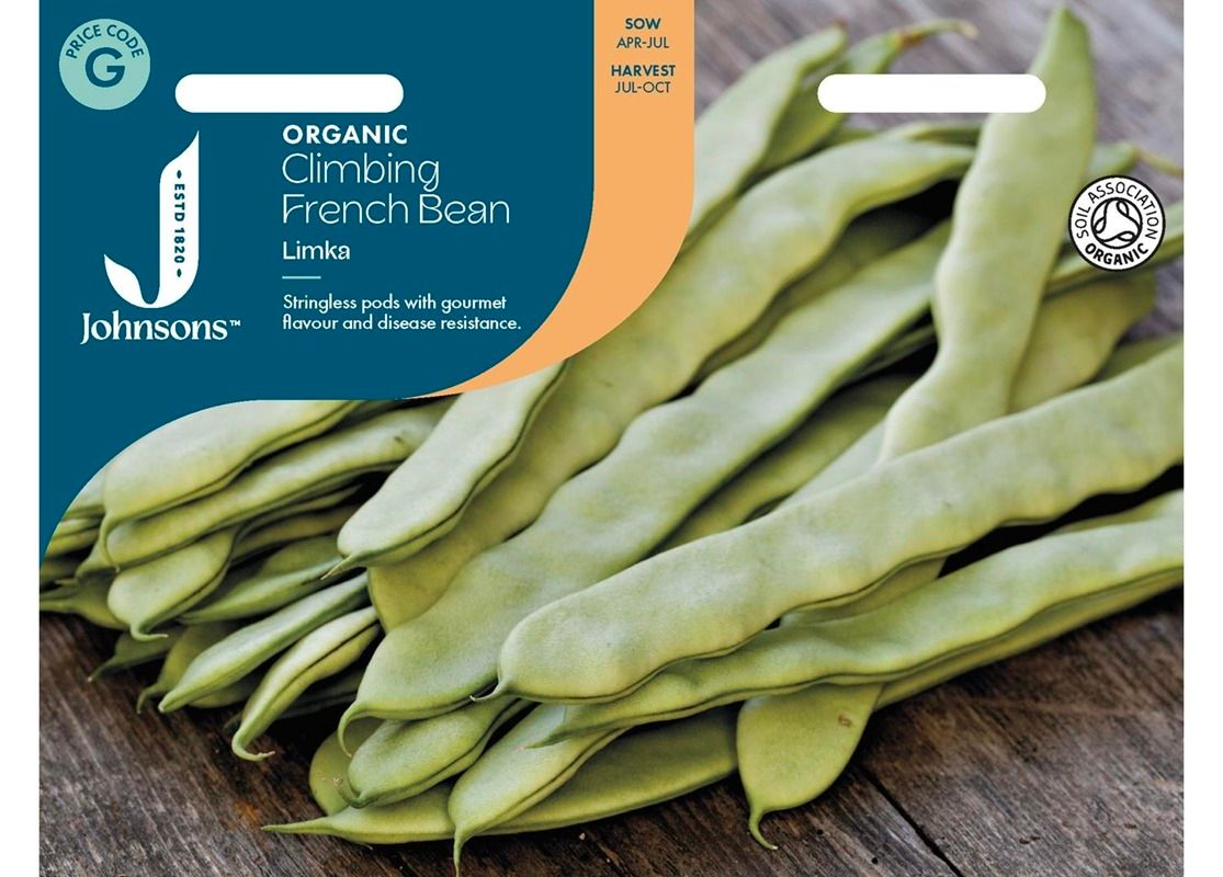 CLIMBING FRENCH BEAN Limka ORG