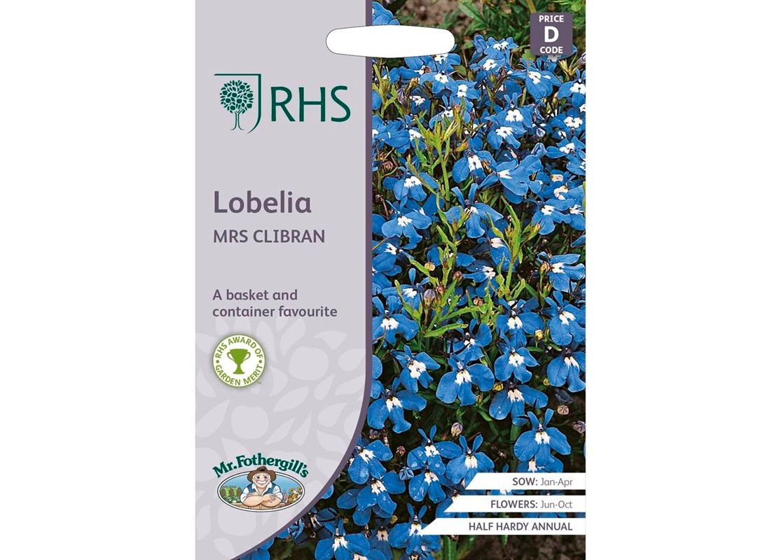 RHS LOBELIA Mrs Clibran RHS LOBELIA Mrs Clibran