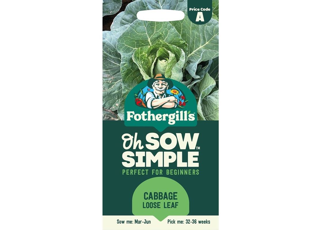 CABBAGE Wintergreen CABBAGE Wintergreen