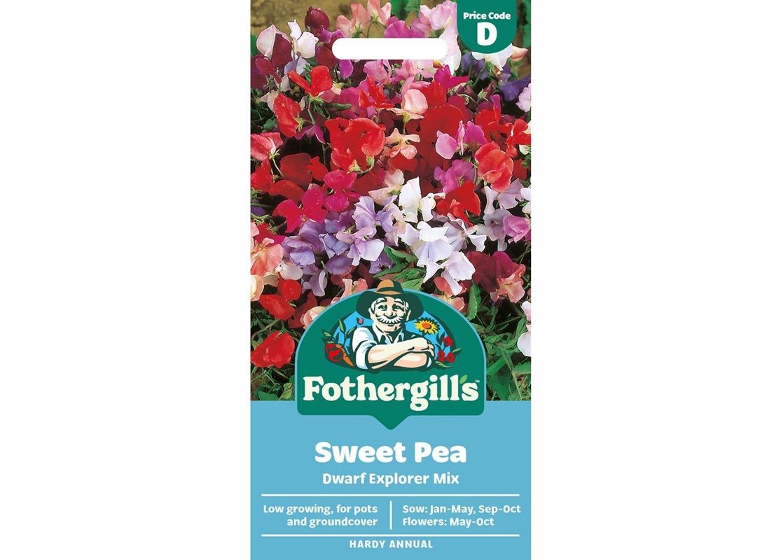 SWEET PEA Dwarf Explorer Mix