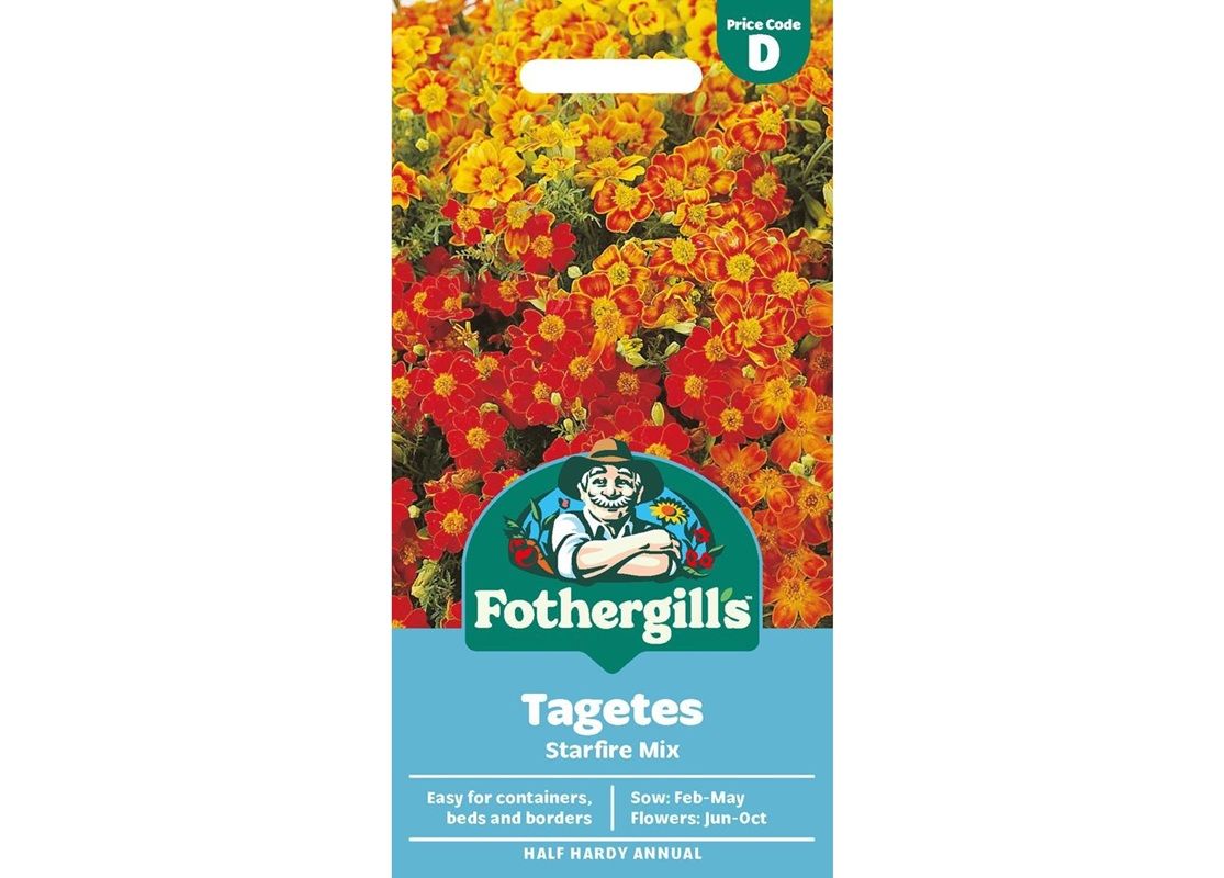 TAGETES Starfire Mix