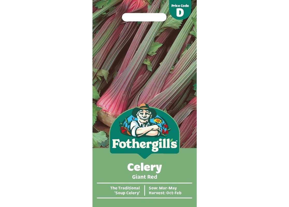 CELERY Giant Red