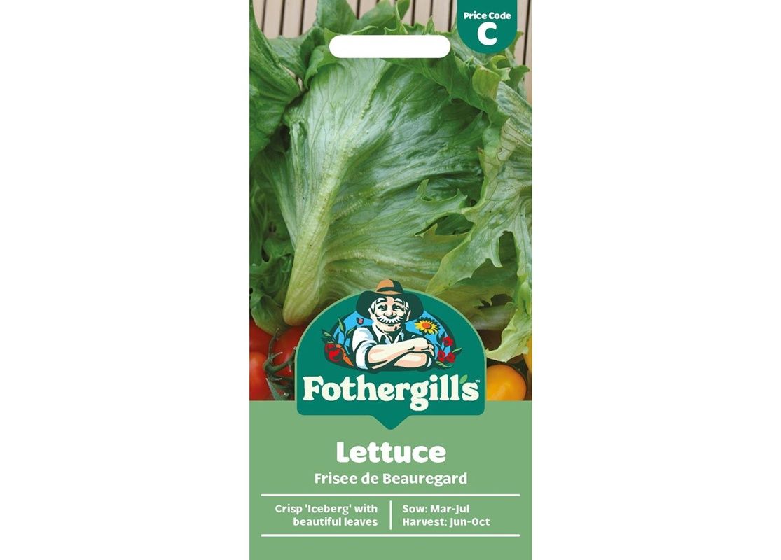 LETTUCE Frisee de Beauregard