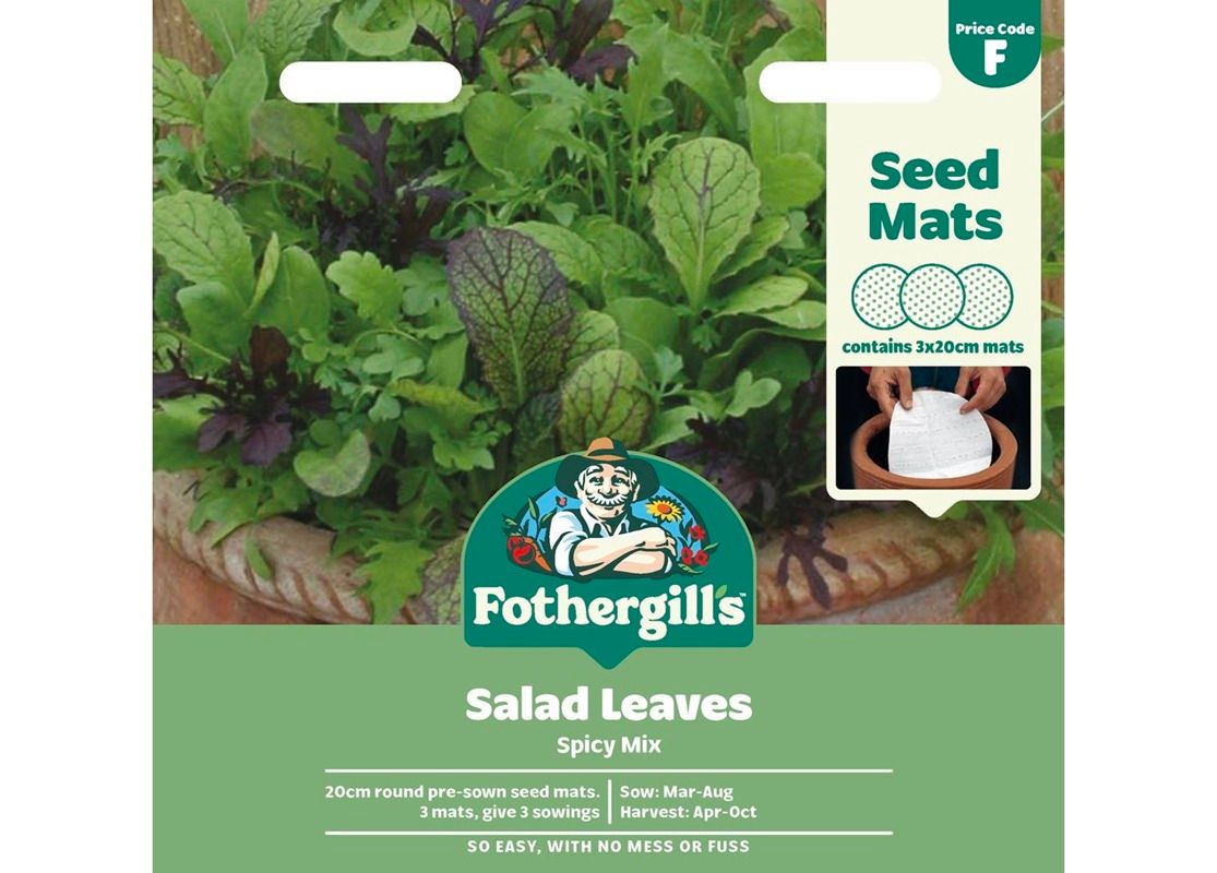 MAT SALAD LEAVES Spicy Mix MAT SALAD LEAVES Spicy Mix