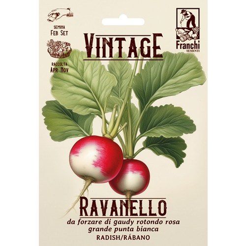 Radish da Forzare Radish da Forzare