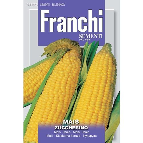 Mais Zuccherino Sweetcorn Mais Zuccherino Sweetcorn