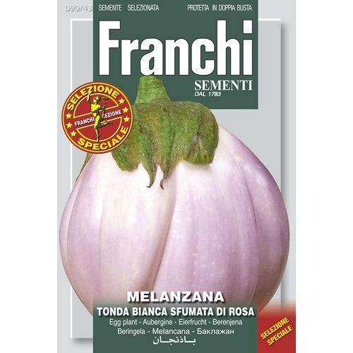 MelanzanaTonda Bianca Sfumata Aubergine