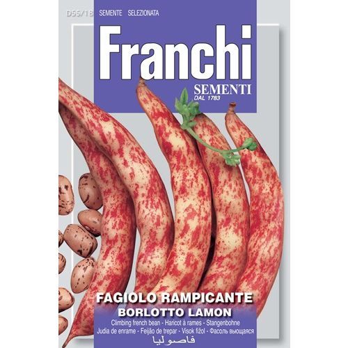 Fagiolo  Rampicante Borlotto Lamon Bean