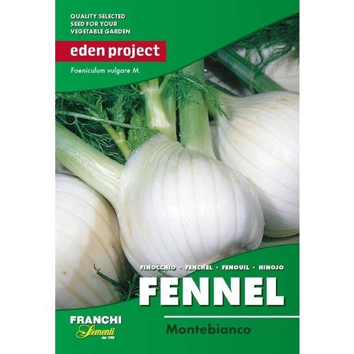 Fennel Monte Bianco