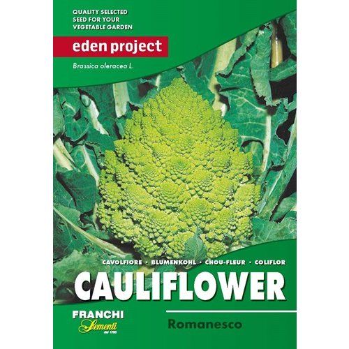 Cauliflower Romanesco Cauliflower Romanesco