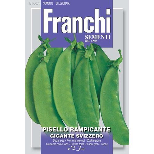 Pisello Rampicante Gigante Ssuizzero