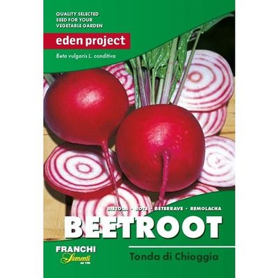 Beetroot of Chioggia