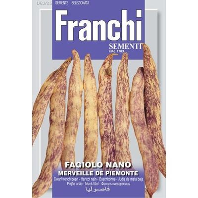 Fagiolo Nano Merveille De Piemonte French Bean Fagiolo Nano Merveille De Piemonte French Bean