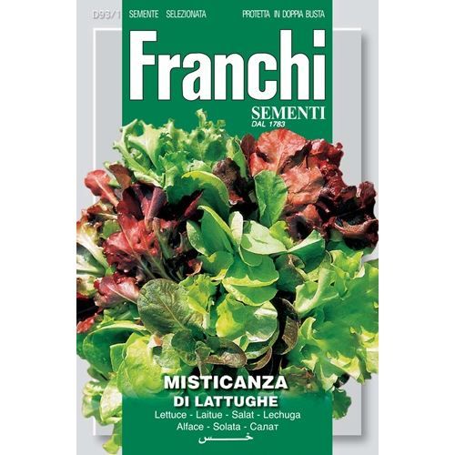 Misticanza di Lattughe Mixed Lettuce Misticanza di Lattughe Mixed Lettuce