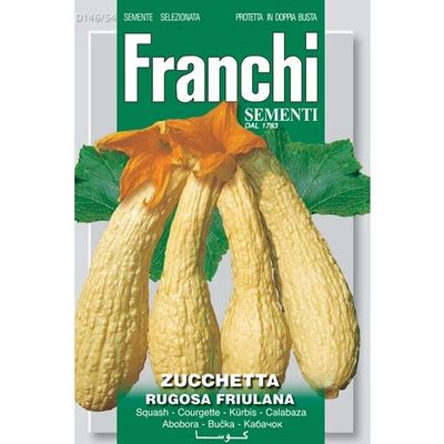  Zucchetta Rugosa friula Courgette