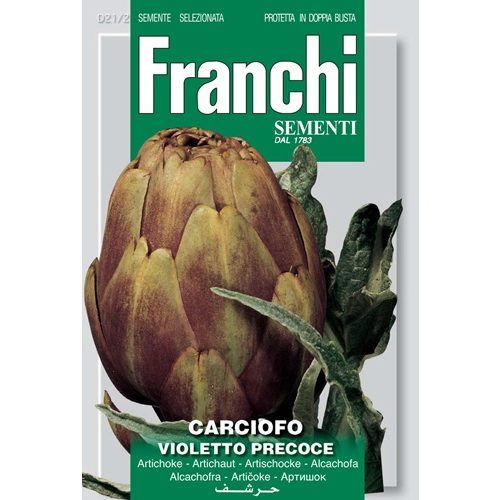 Carciofo violetto Precoce Artichoke purple