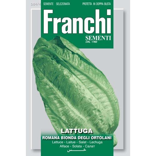 Lettuce Romaine Bionda Degli Ortolani Lettuce Romaine Bionda Degli Ortolani
